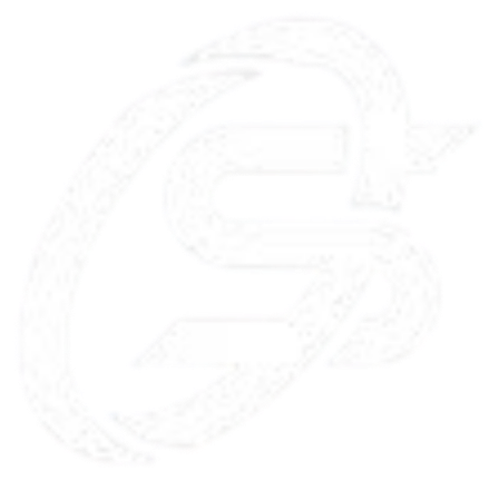 Speed Neutron logo